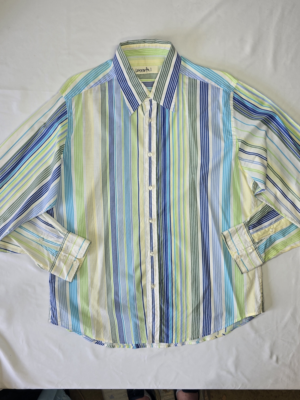 Ziggy Multicolored Vertical Stripe 100% Cotton Long Sleeve Button Down Shirt